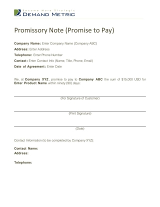 Promise to Pay Template