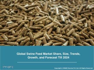 Swine Feed Market: Global Industry Trends, Growth, Share, Size, Region by Demand and Forecast Till 2024