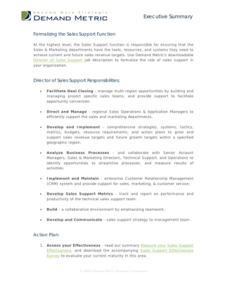 Formalizing The Sales Support Function
