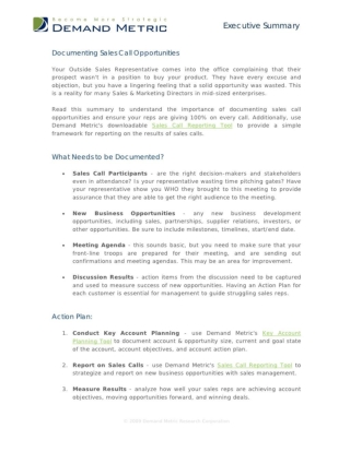 Documenting Sales Call Opportunities