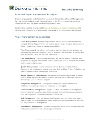 Advanced Project Management Techniques