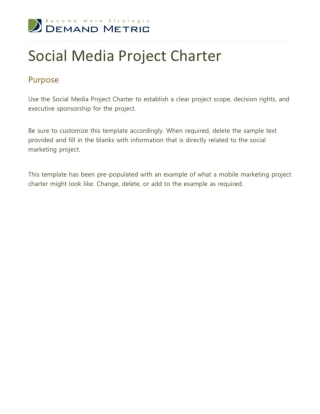 Social Media Project Charter Template