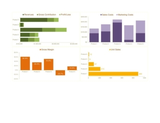 Product Profitability Analysis Tool