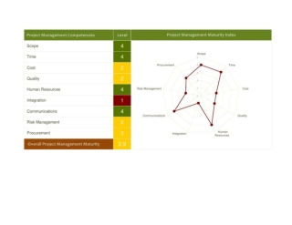 Project Management Maturity Assessment