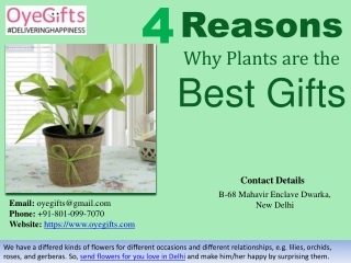 Plants are the Best Gifts, Buy/Send with OyeGifts