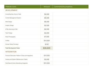 Website Design Budget