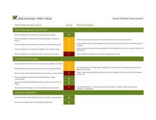 Social Media Assessment