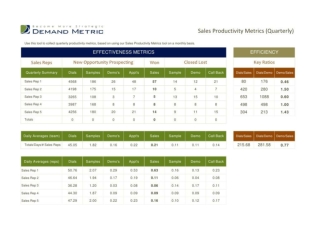 Sales Productivity Metrics (Quarterly)