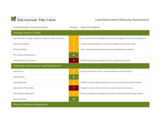Lead Generation Maturity Assessment