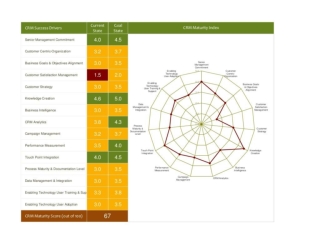 CRM Maturity Assessment