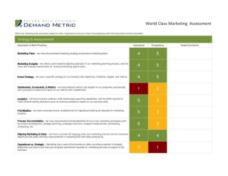 World Class Marketing Assessment