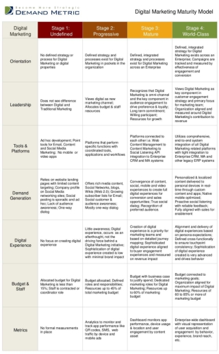 Digital Marketing Maturity Model