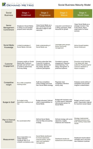 Social Business Maturity Model