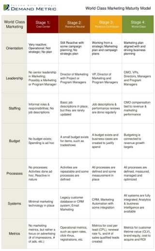 World Class Marketing Maturity Model