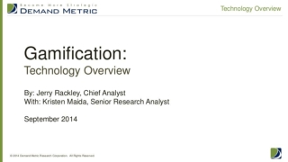 Gamification Technology Overview
