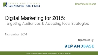 2015 Digital Marketing Benchmark Report
