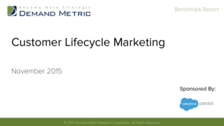 Customer Lifecycle Marketing Benchmark Report