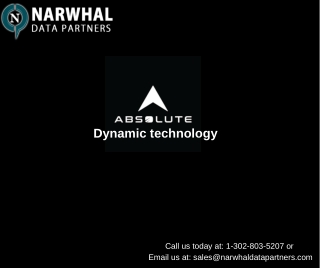 Absolute Dynamics Technology Users Email List in usa