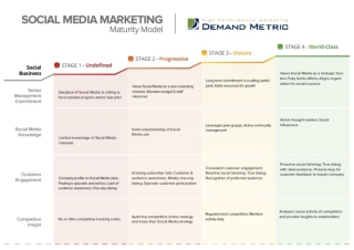 Social Media Maturity Model