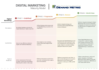 Digital Marketing Maturity Model