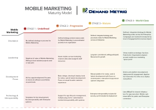 Mobile Marketing Maturity Model