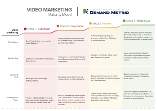 Video Marketing Maturity Model
