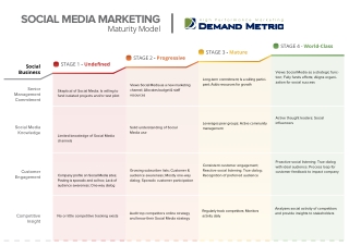 Social Media Maturity Model