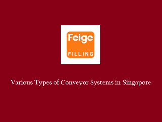Types of Conveyor Systems