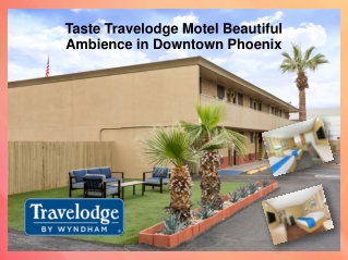 Taste Travelodge Motel Beautiful Ambience in Downtown Phoenix