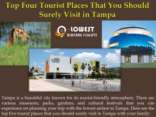 Top Four Tourist Places That You Should Surely Visit in Tampa