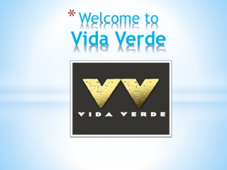 Mexican Inspired Outdoor & Rooftop Bar Midtown NYC | Vida Verde