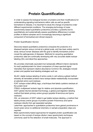 Protein Quantification