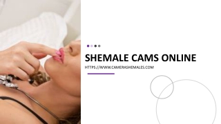 shemale cams ONline