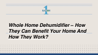 Everything You Need to Know About a Whole Home Dehumidifier