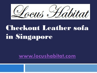 Checkout Leather sofa in Singapore - www.locushabitat.com