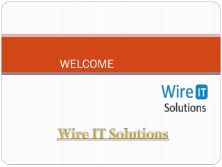 Wire-IT Solutions - 8443130904