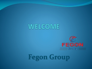 Fegon Group - 8445134111