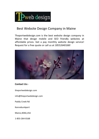 Best Website Design Company in Maine