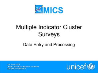 Multiple Indicator Cluster Surveys