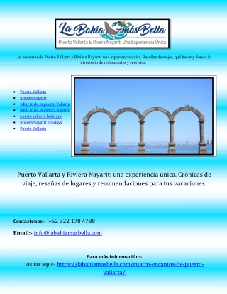 what to do in puerto vallarta