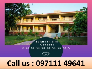 Safari in Jim Corbett