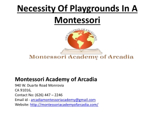 Necessity Of Playgrounds In A Montessori