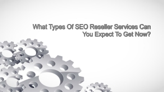 What Types Of SEO Reseller Services Can You Expect To Get Now?