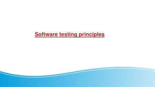 Software testing principles