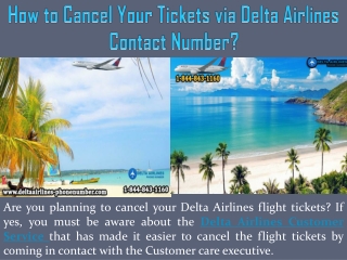 How to Cancel Your Tickets via Delta Airlines Contact Number?