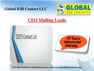 CEO Mailing Leads