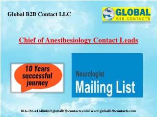 Chief of Anesthesiology Contact Leads