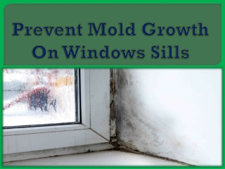 Prevent Mold Growth On Windows Sills