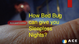 How Bed Bug can give you Sleepless Nights?