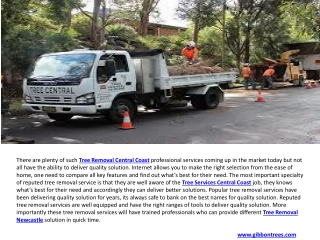 Tree Removal Central Coast & Tree Lopping Newcastle